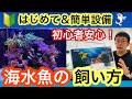 【ベストコレクション】 海水 魚 飼い 方 144548