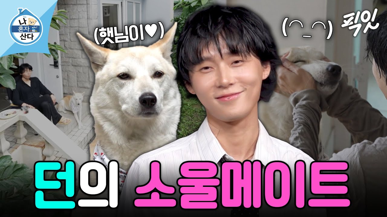 [나혼자산다] 반려견 햇님이와 함께하는 던의 힐링 주택 라이프 MBC260724방송 #나혼산 #던