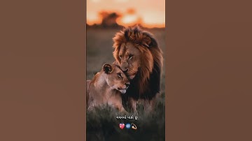 રહુંછું તમારા વગર તો જીંદગી જેર લાગે છે  😢   | #gujarati #youtubeshorts