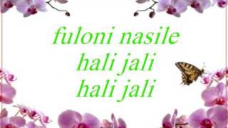 Video thumbnail of "Soku meli nasaba Assamese song lyrics"