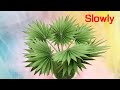 ABC TV | How To Make Mini Bismarck Palm Paper (Slowly) - Craft Tutorial