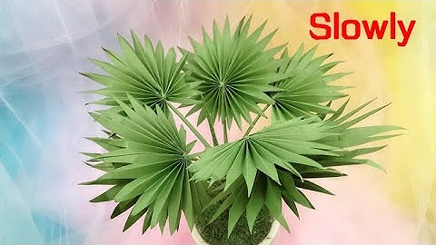 ABC TV | How To Make Mini Bismarck Palm Paper (Slowly) - Craft Tutorial