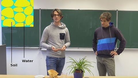 Flow with the Sand: Introduction to Soil Liquefaction