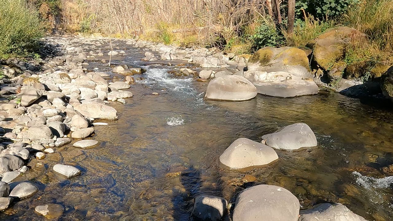 Dry Fly Fishing the Upper Molalla River in Oregon YouTube