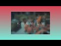 Kranium ft. Ty Dolla Sign & Wizkid ~ Can