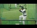 侍ジャパン 合宿の息抜き 稲葉篤紀 打撃コーチ フリーバッティング 2017 WBC 日本代表 宮崎強化合宿