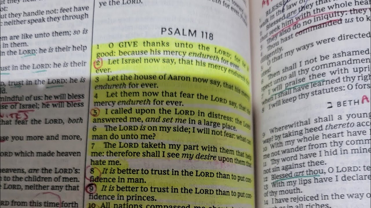 psalm-118-1-29-millennium-kingdom-prophecies-youtube
