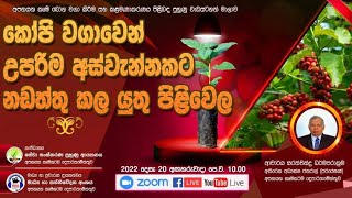 කෝපි වගාවෙන් උපරිම අස්වැන්නකට නඩත්තු කළ යුතු පිළිවෙල