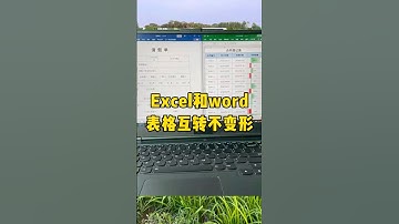 Excel，word表格转换不变形#表格转换 #职场 #每天学习一点点 #涨知识 #办公技巧