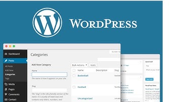 Content Management in WordPress | Creating categories, pages, and posts | Adding a menu, widgets