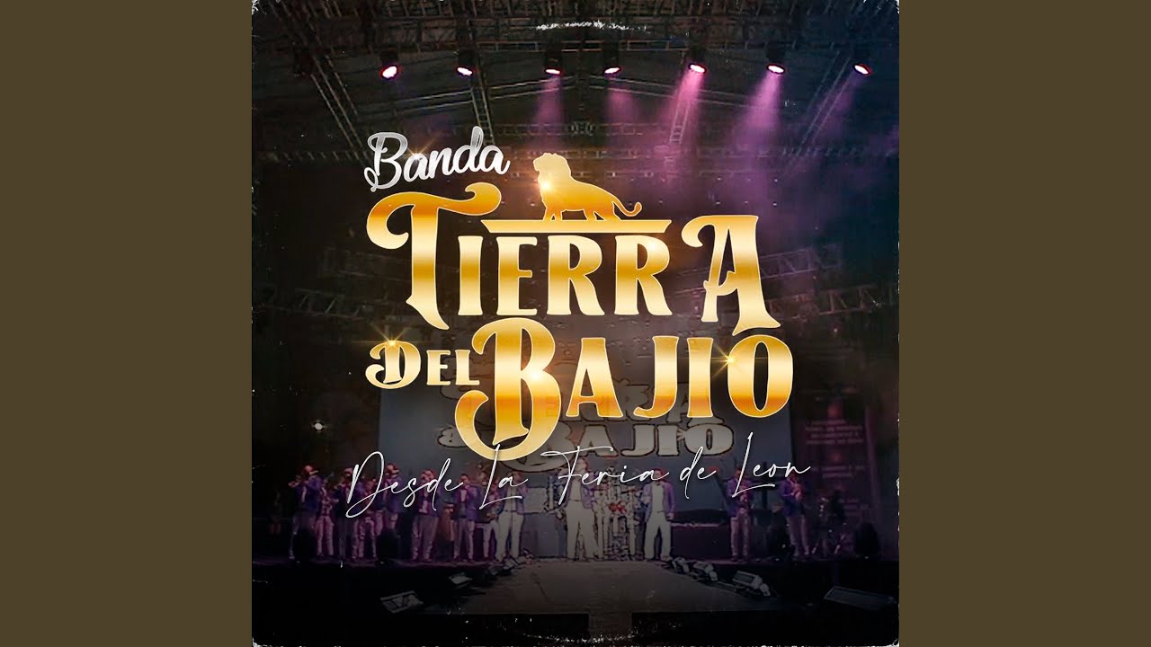 Bailando y Gozando (En Vivo)