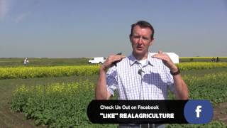 Spray Tips with Tom Ep 9  - What's with Dew?