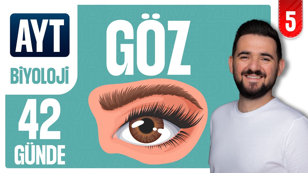 Göz - Duyu Organları | 42 GÜNDE AYRINTILI AYT BİYOLOJİ KAMPI 2026-2027 | 5.GÜN