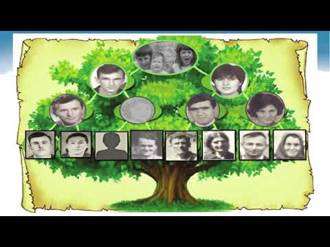 Video: Šta Je Porodično Stablo
