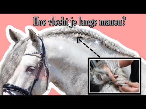 Video: Hoe Vlecht Je Een Manen