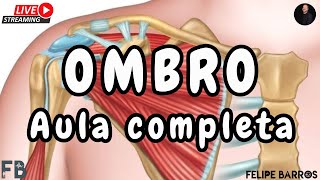 Anatomia do Ombro - Músculos estabilizadores e dinâmicos - Aula completa | Prof. Felipe Barros