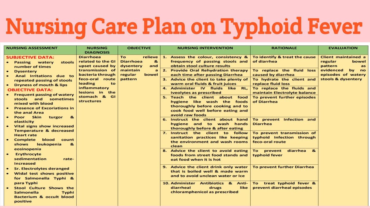 NCP 24 Nursing care plan on Typhoid Fever/ communicable disorders 