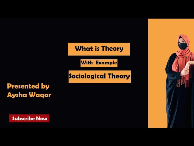What is social Theory| Simple Explanation of theory|Sociological theory| Example| Urdu/Hindi