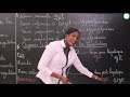 Cours  terminale l2  svt  la rgulation de la glycmie  mme cisse