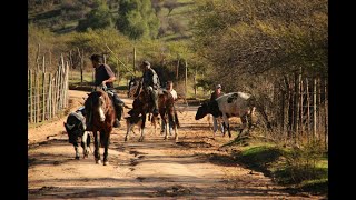 LACEANDO EN EL CERRO 211 ... HOMBRE DE CAMPO CHILENO