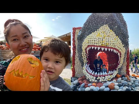 Video: Trang trí Halloween trong vườn: Trồng cây Halloween để trưng bày