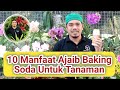 10 Manfaat Ajaib Baking Soda Untuk Tanaman Dan Hobi Berkebun, Tips Agar Tanaman Sehat dan Subur..!!