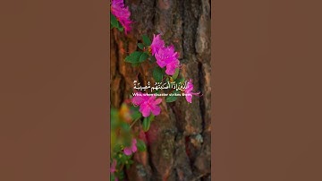 [ سورة البقرة: 155-156] القارئ بيشه وا الكردي  #اكسبلور