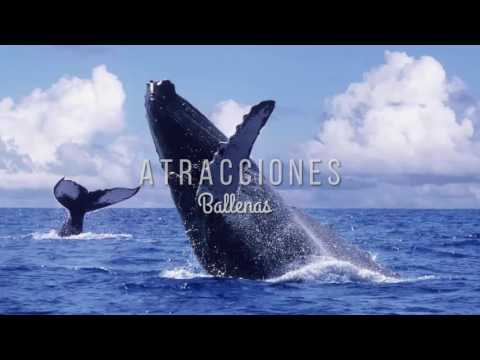 Jeromy D Sunscape Curacao Resort, Spa & Casino The Ultimate Family Vacation