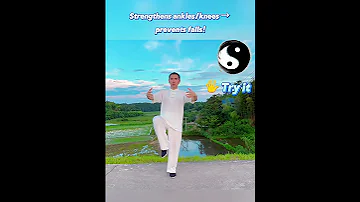 Can You MASTER The Elusive Crane Balance In Tai Chi 