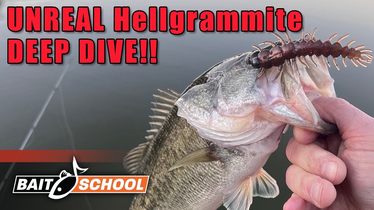 The TRUTH About Fishing with Hellgrammites (Frank Scalish DEEP DIVE) 