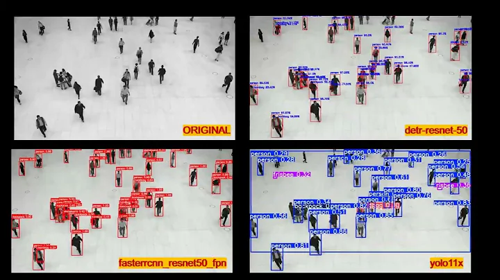 YOLO11, Faster R-CNN and DETR Object Detection | Comparison