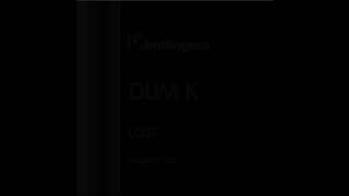 Dum K - Lost (Original Mix)