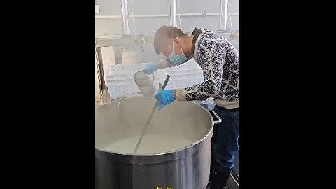 2024 Fully Automation Tofu Factory Production Line | 500kg capacity series