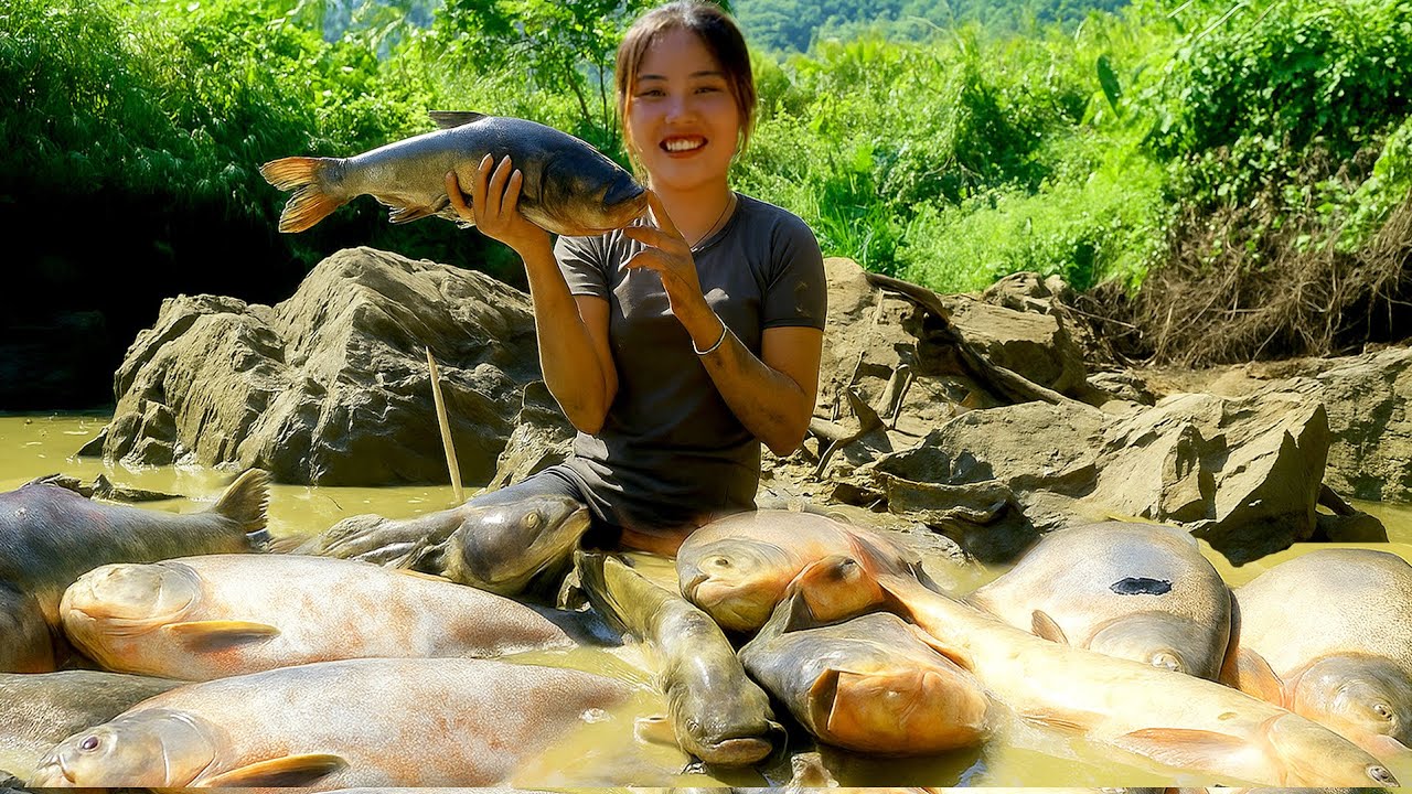 Harvest Giant Fish from Old Ponds | Big Catch to Sell at the Market ...