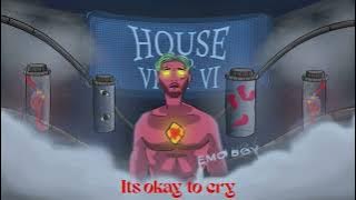 Mc Insane - Its okay to cry (  Audio ) | HOUSE NO. VIVIVI