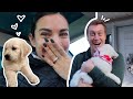 surprising my husband with his dream dog 🥺 ❤️