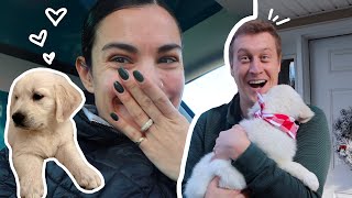 surprising my husband with his dream dog 🥺 ❤️