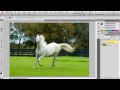 Adobe Photoshop CS5 - My Top 5 Favorite Features