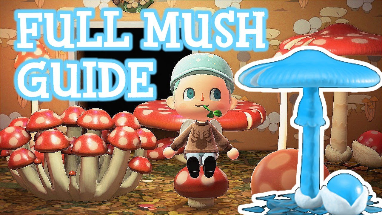 FULL Mush Guide Animal Crossing New Horizons YouTube