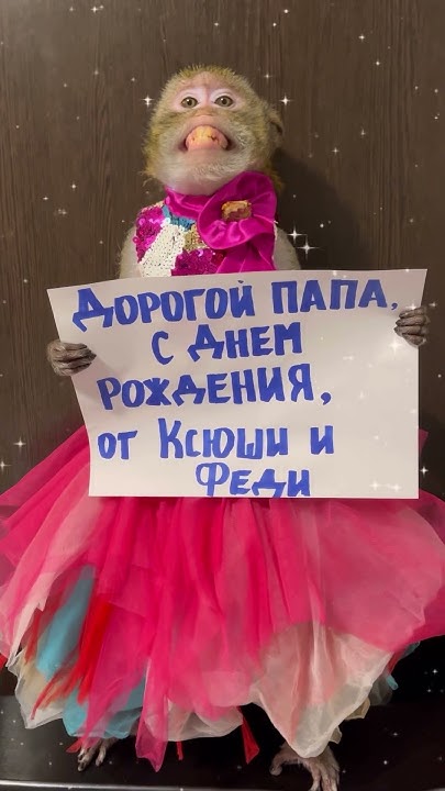 Мы умеем поздравлять . Телега в шапке профиля - YouTube