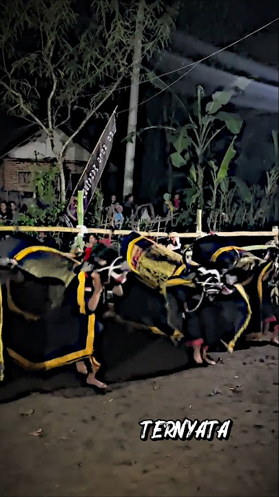 Compactness is not a coincidence‼️🔥 #bull #jaranan
