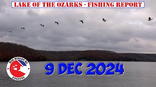 Lake of the Ozarks Bass Fishing - 9 Dec 2024 | Fishing report