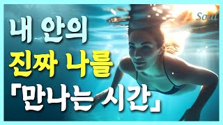 모든 것을 알고 있는 [내 안의 나]고요속에서 진짜 나를 깨닫는 시간 (모음집) |중간광고없음|