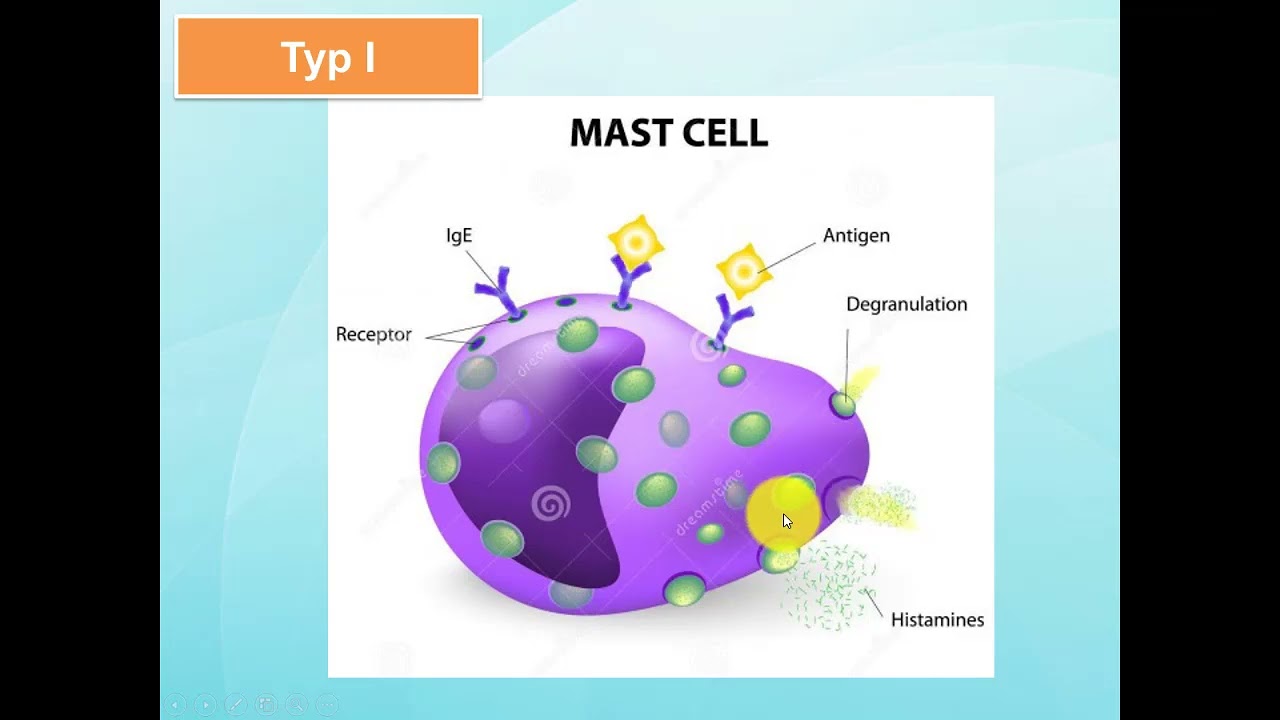 [DƯỢC LÂM SÀNG] DỊ ỨNG THUỐC (Cô Uyên)
