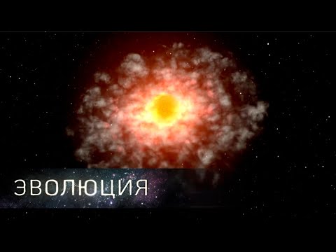 Все из ничего | Эволюция
