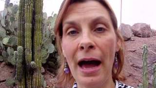 Day 18 JJ.AVI