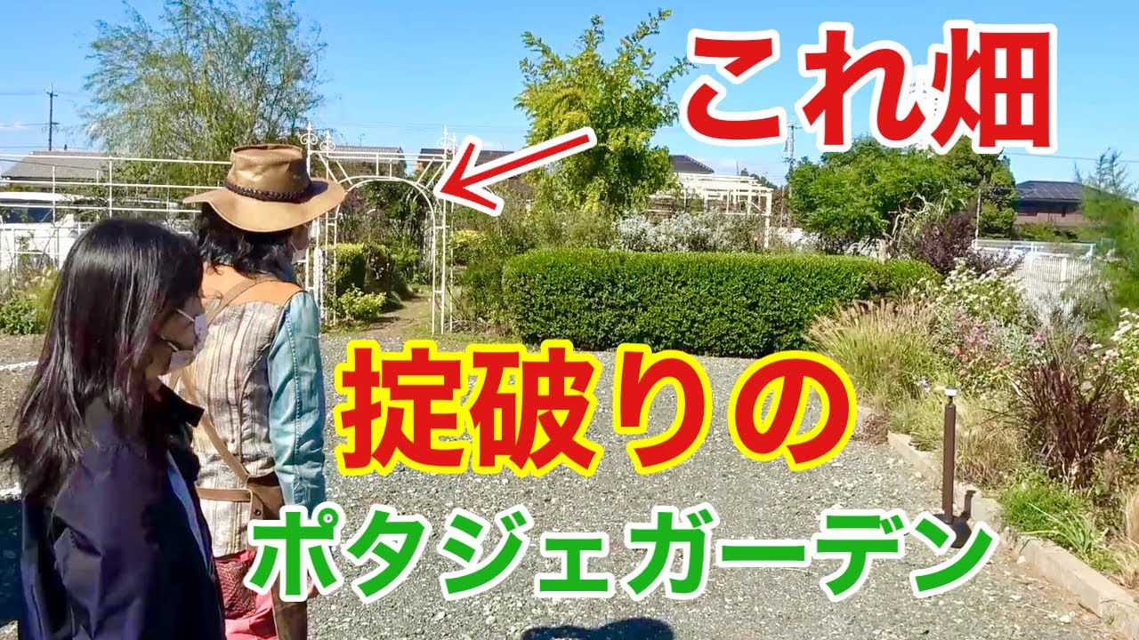 手入れしなくてここまでできる 園芸店 店長が プロではない庭 紹介します お庭づくりに迷われている方 デザイン 植物選びの参考にしてください オープン ガーデン豊橋 鈴木修 個人邸の庭 Youtube