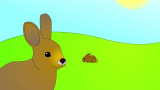 Rabbit animation test (volume warning)
