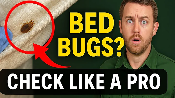 Bed Bug Inspection 101 - How to Check Your Home Like a Pro