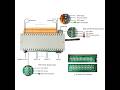 how to use KC868-H32B by webpage control relay